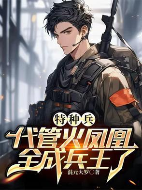 特种兵之叶寸心哥哥