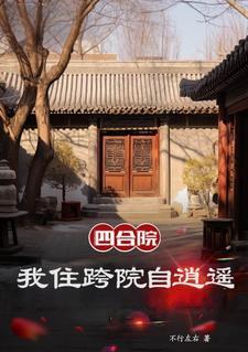 四合院我是黑市掌控者无弹窗林阳