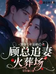 替身七年后发现我就是白月光乔瑰