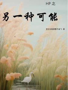 另一种可能gl电子书