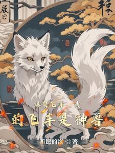 爆裂飞车玩具视频