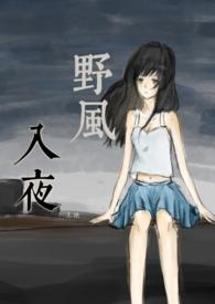 野风入夜电吉他谱