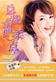 总裁温柔无线上