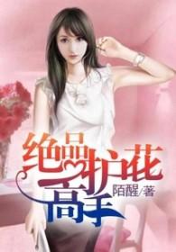 绝品护花高手免费阅读