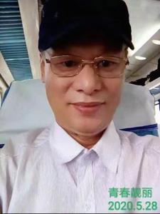 青春靓丽歌曲
