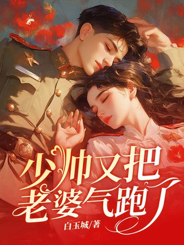 少帅你老婆又跑了原文