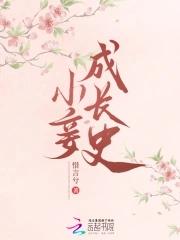 小妾hp