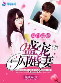 高门秘婚盛宠闪婚妻