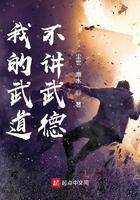 我的武道不讲武德txt