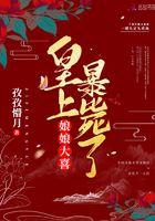 娘娘皇上又打翻了醋坛子