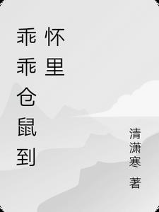 仓鼠特别乖