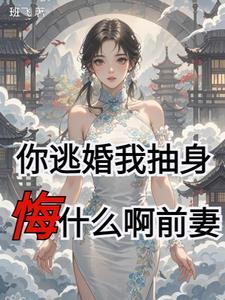 逃婚前妻请入局