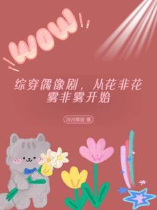 综穿花非花雾非雾电视剧