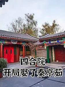 情满四合院秦淮如和秦京如什么关系