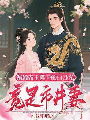 错嫁皇后