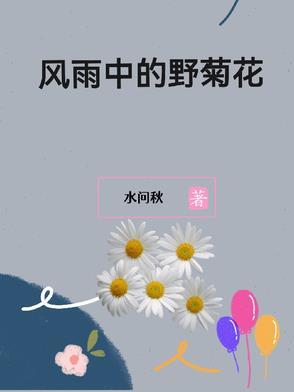 风雨中的野菊花阅读