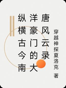 历史大唐风云简介