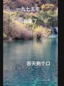重生一九七五有灵泉空间