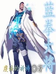 蓝拳技能演示