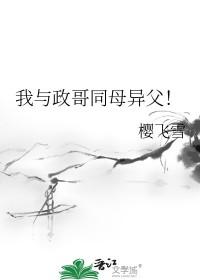 我与政治的关系