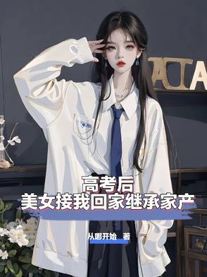 美女接我回家继承家产txt