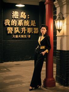 港岛警察系统