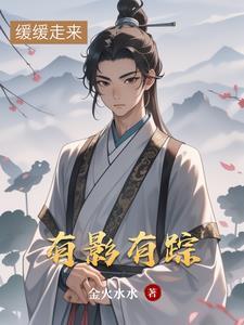 有影无踪作者的