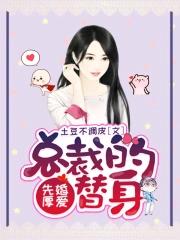 总裁宠妻百分百