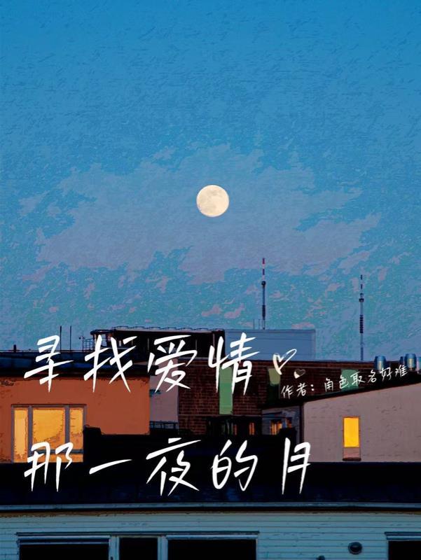 寻找爱情的她