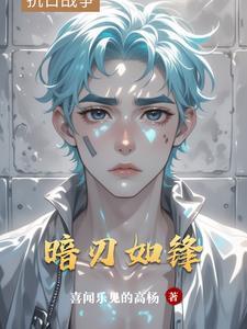 暗刃12集
