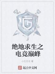 绝地求生之巅峰战场