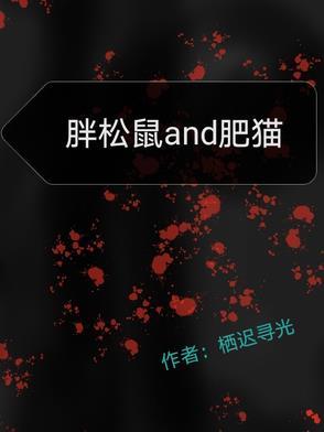 小胖松鼠