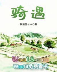 骑遇记 王行第一章