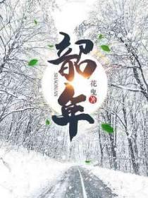 韶年华是什么意思