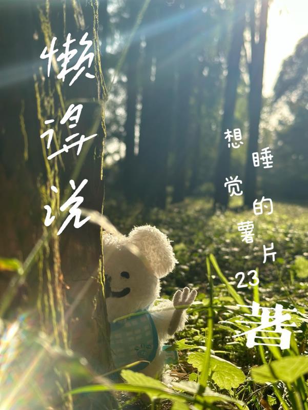 懒得说你怎么幽默回答