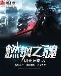 燃钢之魂的战力体系