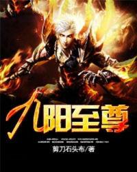九阳至尊是管什么的