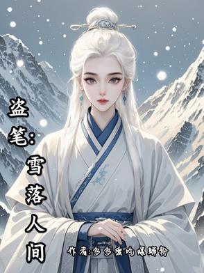 盗墓笔记雪落长白十三载