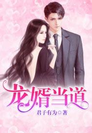 龙婿当道叶全文免费阅读