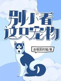 别小看这只宠物 会做菜的猫