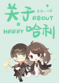 电影关于哈利的那些事