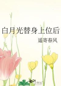 白月光替身在岗