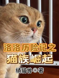洛洛历险记任务