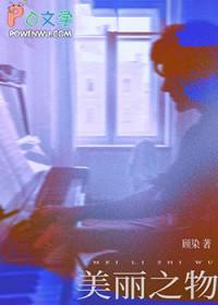 美丽之物歌曲