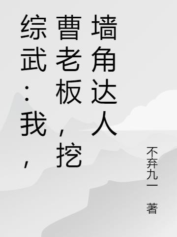 曹老板