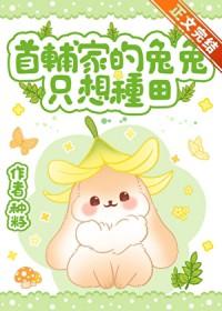首辅家的兔兔只想种田txt