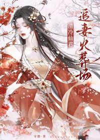 清冷仙君追妻火葬场了好看吗