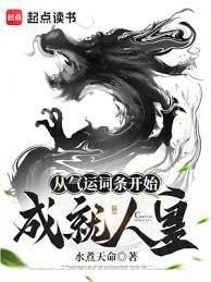 从气运词条开始成就人皇无错版