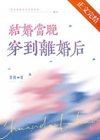 结婚当晚穿到离婚后免费阅读笔趣阁