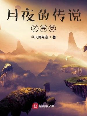 月夜寻兔什么意思